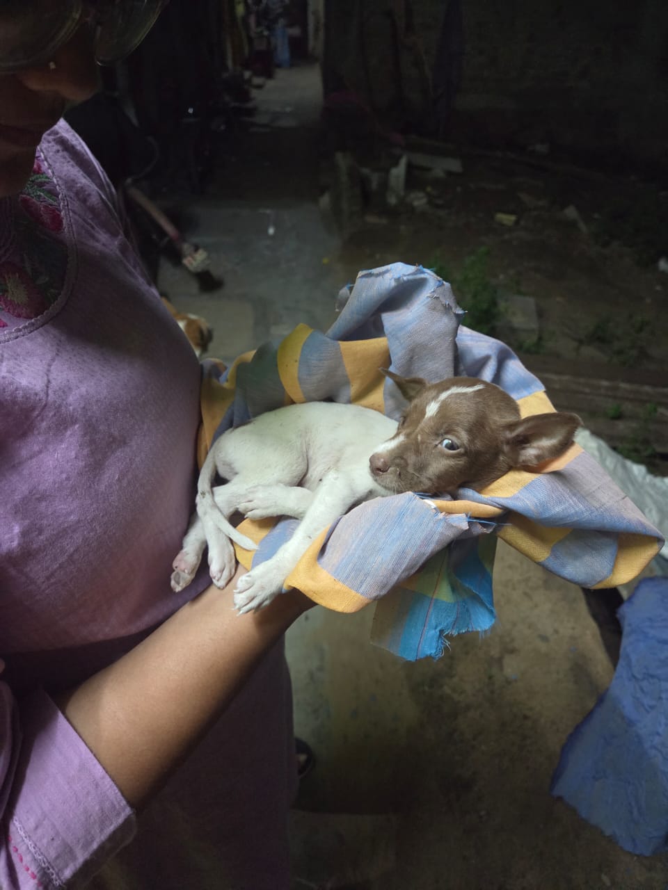 Rescue