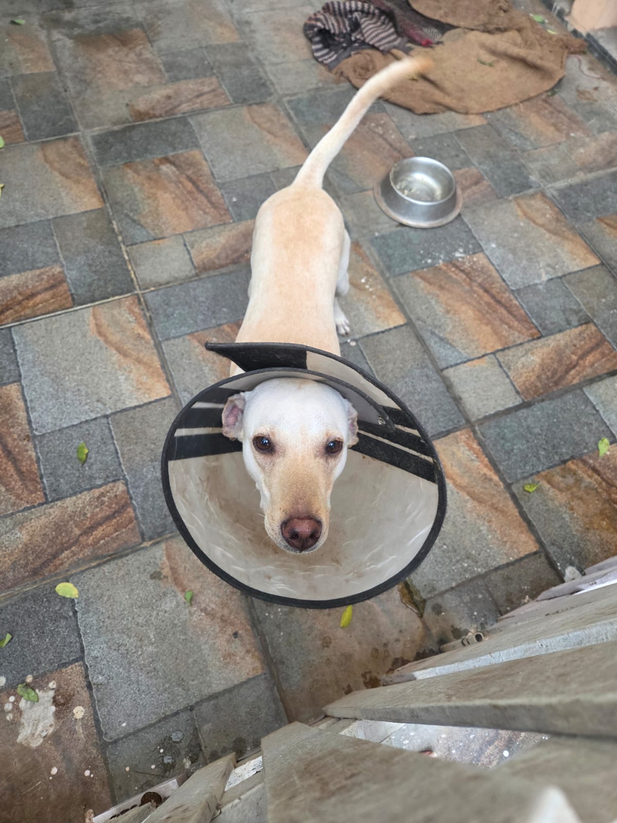 Post-op recovery