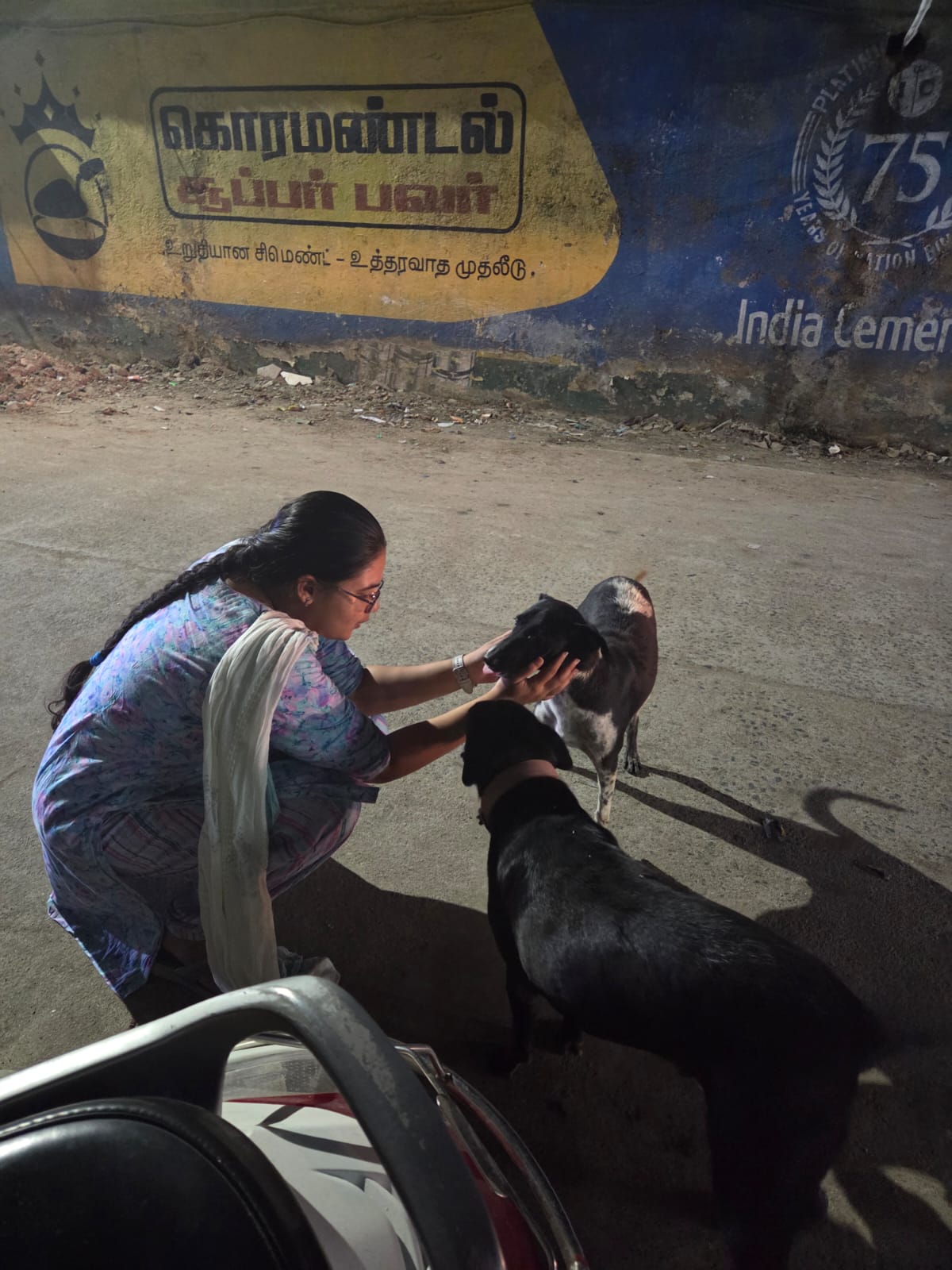 Community feeding